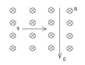 pregunta 3